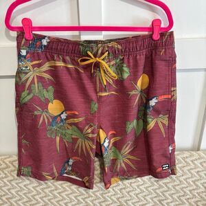 Billabong Men’s Sundays Laybacks Board Shorts Swim Trunks